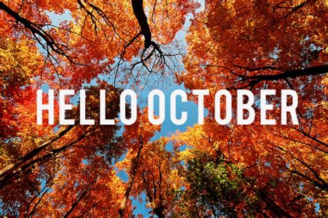 What's on your tulips : October 2013