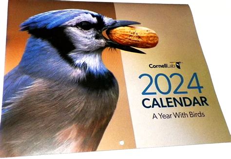 Cornell 2024 Calendar - Audry Caralie