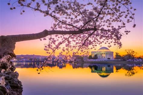 USA Holidays - Premier Holidays