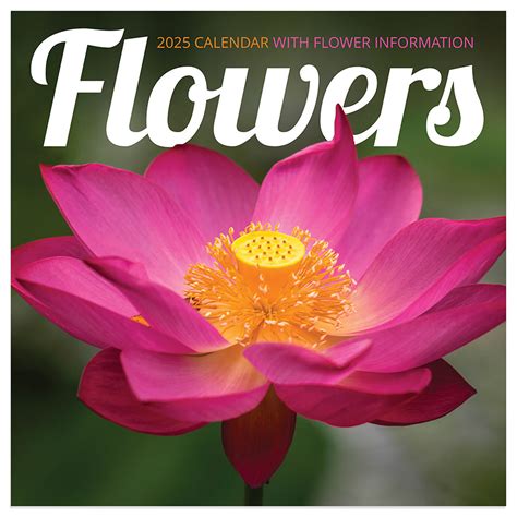 **FINAL SALE** 2025 Flowers Mini Calendar | TF Publishing | Calendars ...