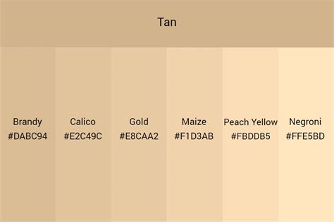 All You Need to Know about Tan Color: An Ultimate Guide