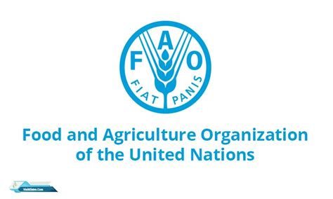 Apa Yang Dimaksud Dengan FAO? | Visit Klaten