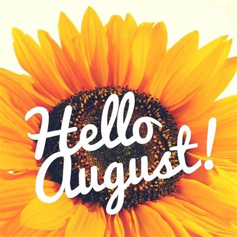a yellow sunflower with the words hello august written in white on it's ...