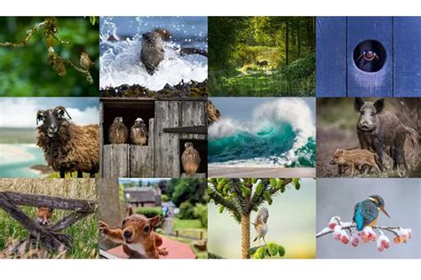 Countryfile Calendar 2025 Winners Pictures - Lynne Rosalie
