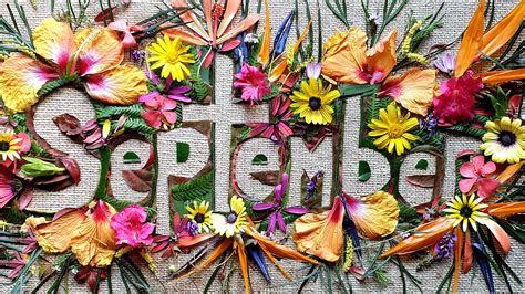 What's happening in September - International Trade Matters Ltd