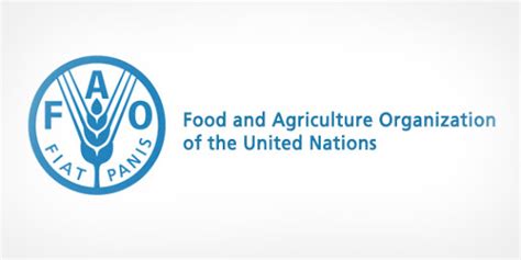 Youth sensitive value chain analysis and development