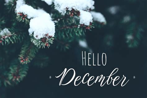 December College Prep Checklist for High School Juniors | Fastweb