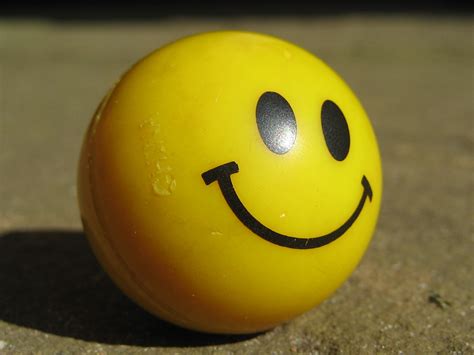 How to be nearly always happy - Zilvold Coaching & Training
