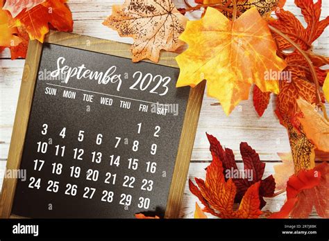 September 2023 monthly calendar with maple leaf on wooden background ...