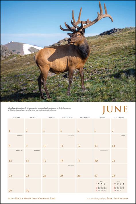 2025 Rocky Mountain National Park Scenic Calendar | Rocky Mountain ...