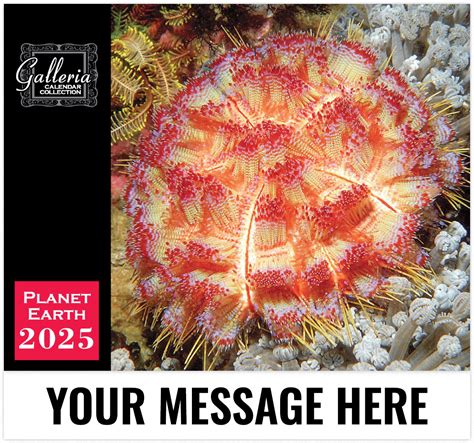 Bbc Earth Calendar 2025 - Saba Roxine