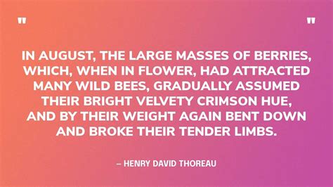 70 Inspirational Quotes for the Month of August (2024)