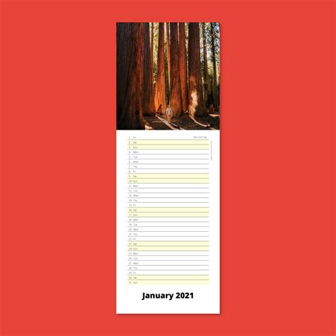 Personalised Slim Calendar 2025 Uk - Zoe Terry