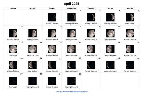 2025 Moon Calendar Long Life 2025 Foremost Notable Preeminent - Free ...