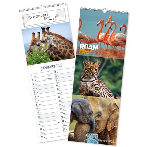 Slim Calendar 2025 Amazon Finest Magnificent - Desk Calendar 2025 With ...