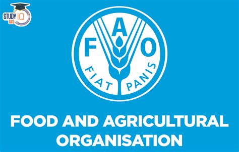 Food and Agricultural Organisation, Headquarters, Working & Initiatives