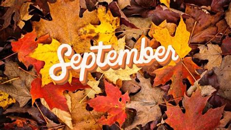 September - I Love IT