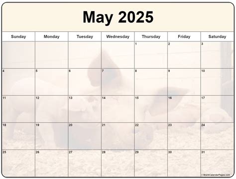 May 2025 Calendar Cute - Geoffrey T. Hamby