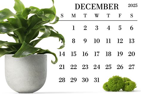 2025 Large Number Square Calendar By Running With Foxes | TheHungryJPEG