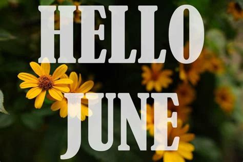 June Family Night Ideas and Fun Activities List - SuperMom Shuffle