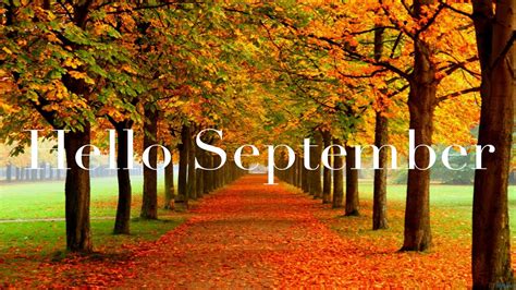 September is here - The Mortimer Arms Paultons Park New Forest