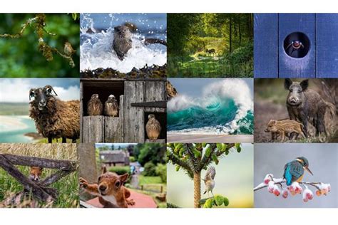 BBC Countryfile Calendar 2025 By Post: Capture The Enchanting Beauty Of ...