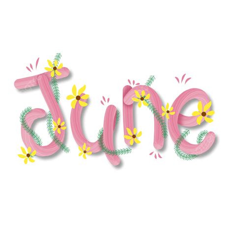 June Flower White Transparent, Pink June Cute Text Effect With Leaf And ...