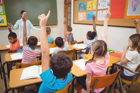 School definition and meaning | Collins English Dictionary